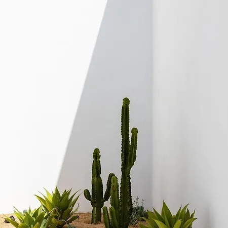 Ferienhaus Luxury Mikonos