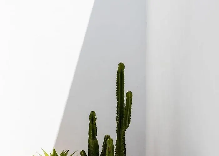 Vakantiehuis Luxury Mikonos